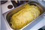  „Verschimmelte Spaghetti“, ...  Bild: Landratsamt