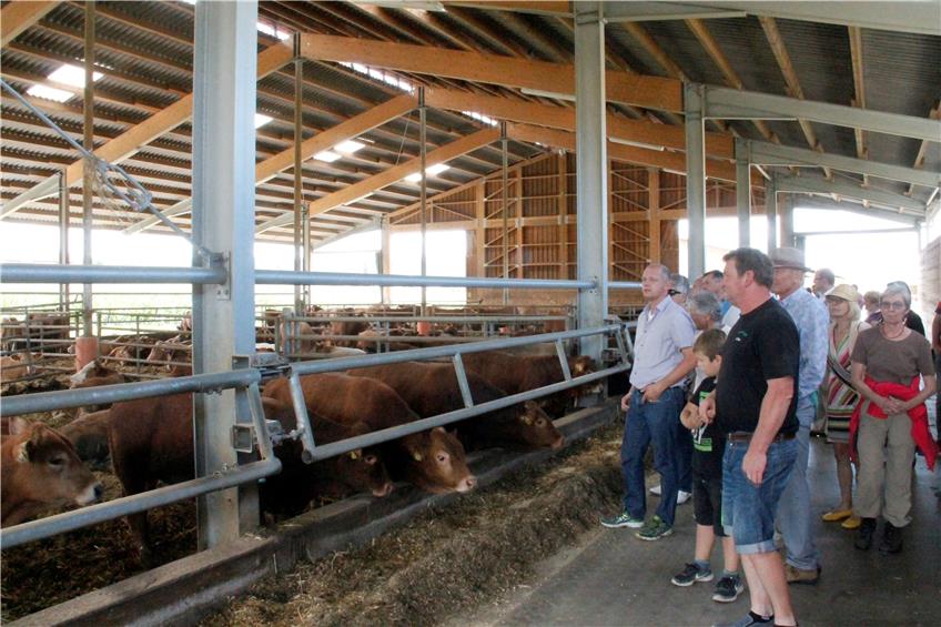 Am Sonntag zeigte Wolfgang Narr (vorne) Interessierten seinen Rinderställe. Bild: Keicher