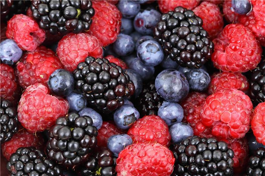 Beeren, Obst und Gemüse sind Quellen für die Vitaminzufuhr. pixabay.com © PublicDomainPictures (CC0 1.0)