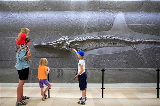 Besucher im Urweltmuseum Holzmaden. Aud dem Bild ein Skelett von einem Ichthyosaurier. Bild: Walter Schmitz