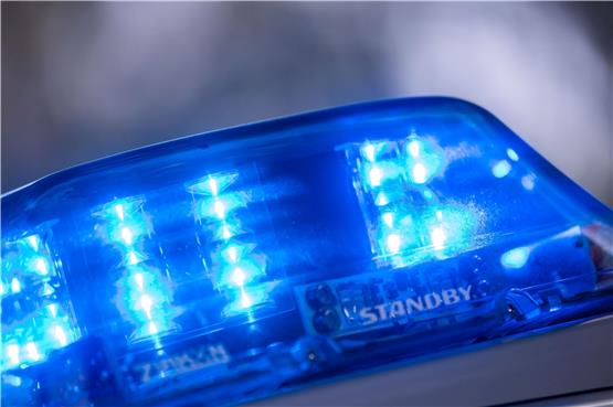 Blaulicht leuchtet an einem Polizeiauto. Foto: Lino Mirgeler/dpa