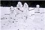Diese gutgelaunte Schneemannschaft schickt Familie Hägele aus Kilchberg. Bild: H...