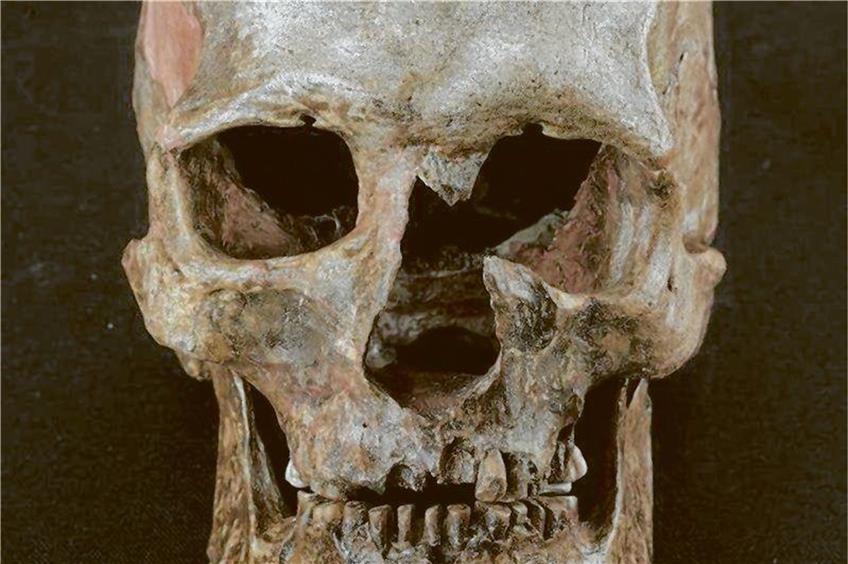 Knochenfunde wie dieser rund 30 000 Jahre alte Schädel lieferten den Forschern nun spektakuläre Hinweise zur Geschichte der frühen Europäer. Foto: Frouz/MPI
