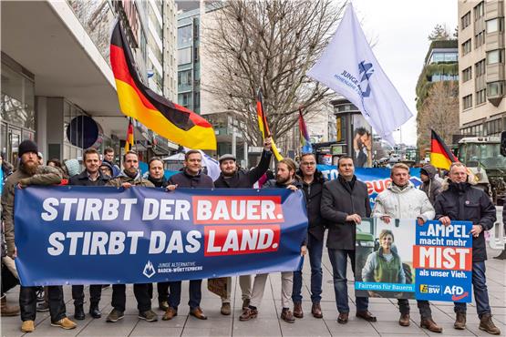 Rechte Unterwanderung: Die AfD war mit mehreren Personen bei der Kundgebung in Stuttgart.