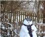So gemütlich kann das Schneemannleben sein - wenn die Erbauerin die neunjährige ...