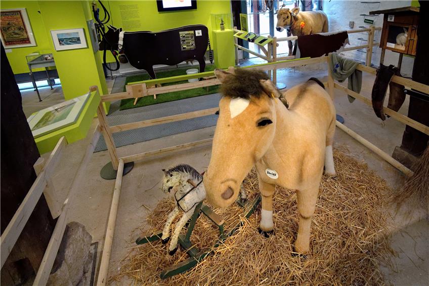 Vorne das lebensgroße Steiff-Pony, hinten die schwarze Melkkuh zum Üben: Haustiere sind ins Kornhaus eingezogen.Bild: Metz