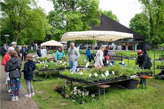 Zwischen 3000 und 4000 Besucher kamen an beiden Tagen der TAGBLATT-Messe „Garten & Gaumen“. Bild: Carolin Albers