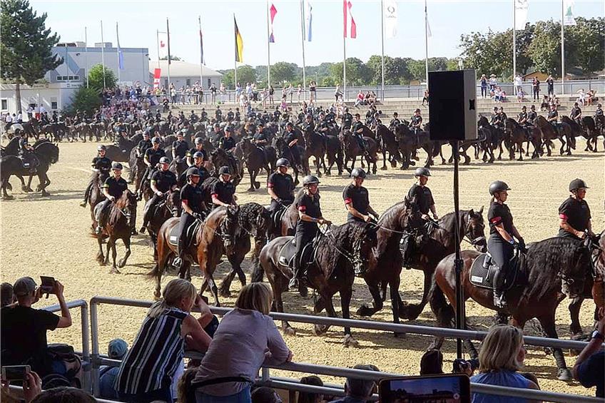 132 Pferde samt ReiterInnen trugen am 5. Juli zum Weltrekord in Mannheim bei.  Privatbild
