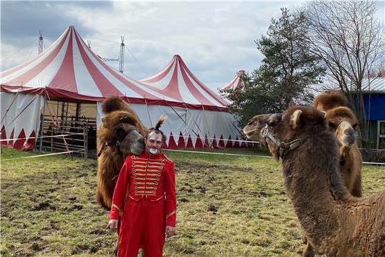 Am Donnerstag startet der Zirkus „Salto Mortale“ in Mössingen in die Saison. Mike Bügler als Clown Gagi freut sich schon und auch die Kamele (neben Bügler steht Kiara, daneben sind Achmed und Ivan) machen noch einen ziemlich entspannten Eindruck. Bild: Frank Rumpel