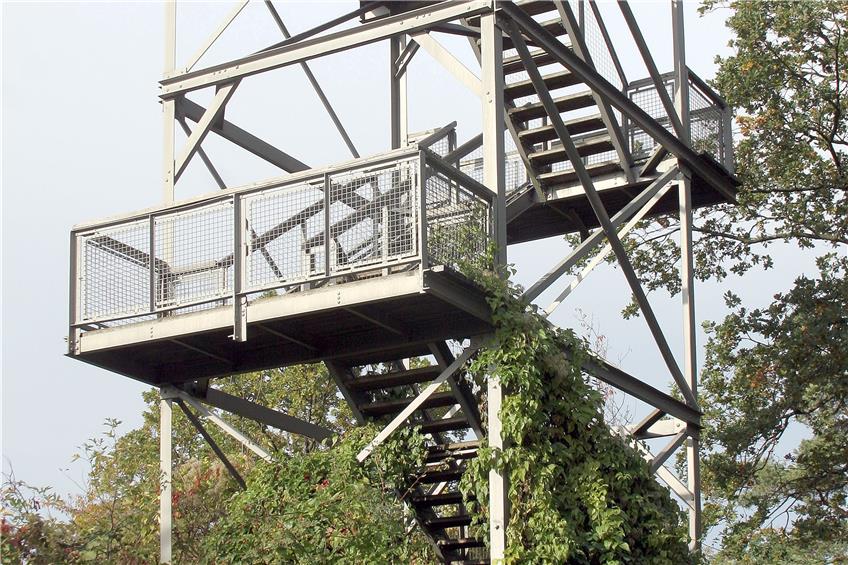 Am Steinenbergturm klettern Pflanzen bis auf die Plattform. Archivbild: Ulrich Metz
