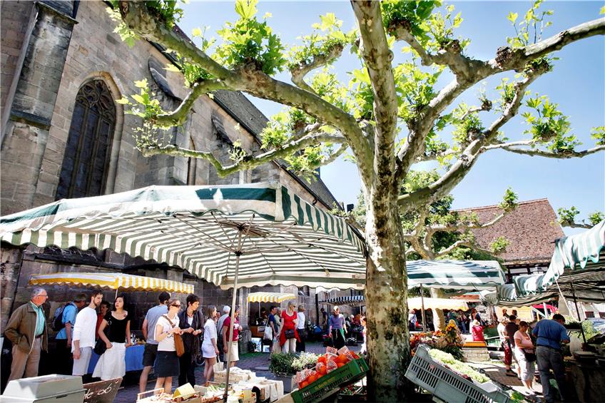 Am Wochenende ist auch Antiquitäten- und Frühlingsmarkt in der Tübinger Altstadt. Archivbild: Ulrich Metz
