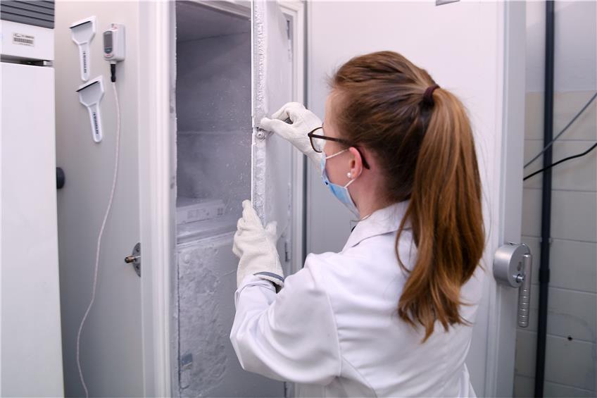 Apothekerin Marina Lehmann zeigt den Kühlschrank, in dem der Impfstoff bei minus 80,5 Grad gelagert wird. Bild: Ulmer