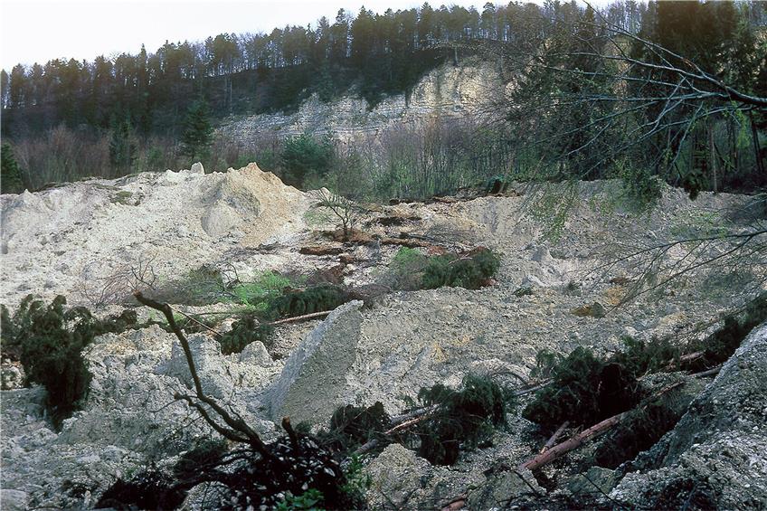 April 1983: Blick in den mittleren Bereich des Hangs und oben die neugebildete Steilwand am Mössinger Hirschkopf. Bild: Armin Dieter