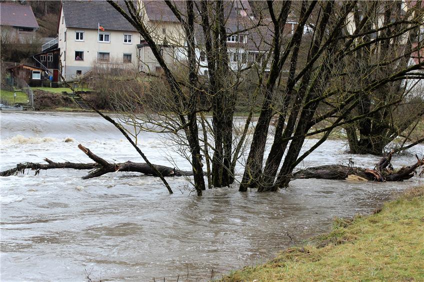 Auch bei Fischingen wurden Uferbereiche überschwemmt. Bild: hsd
