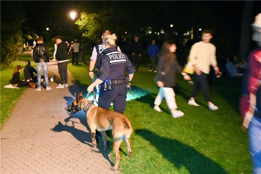 Auch ein Hund begleitete die Beamten auf ihrem Streifzug. Bild: Ulmer