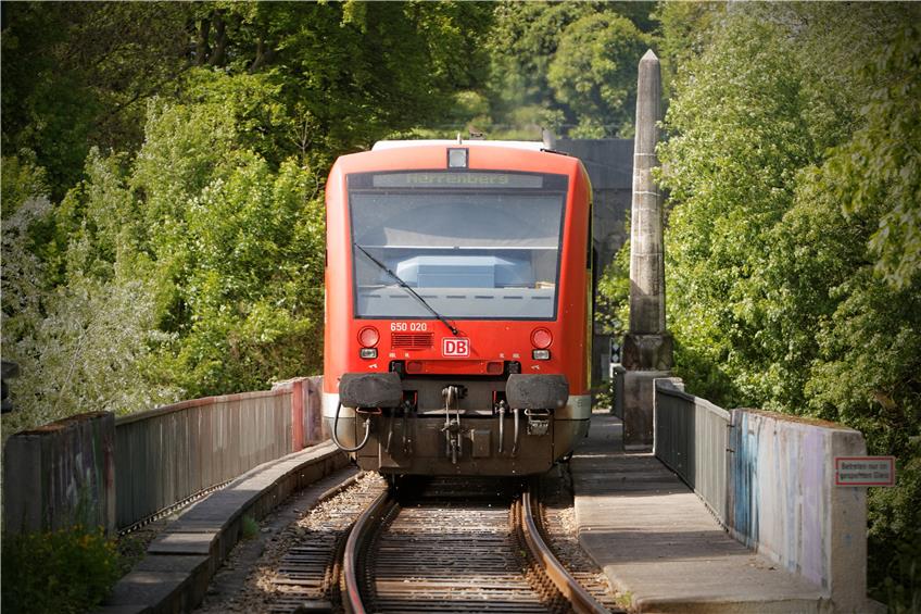 Auf der Ammertalbahn müssen Reisende weiter mit Ausfällen rechnen. Archivbild: Ulrich Metz