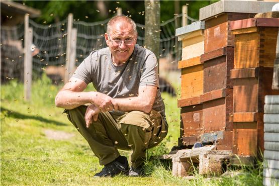 Auf seinem Grundstück im Osten von Wannweil hat Friedrich Hallabrin viele Bienenvölker in großen Holzkästen.Bild: Martin Seigel