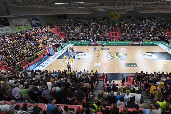 Ausverkaufte Paul-Horn-Arena: Im Playoff-Halbfinale der Tigers Tübingen gegen die Karlsruhe Lions war die Halle voll.Bild: Ulmer