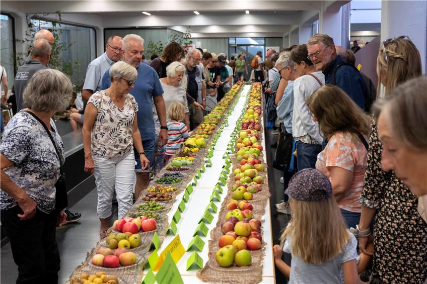 Beeindruckende Apfelsortenschau in der Pausa, dazu gab es Birnen, Quitten und Exoten.Bild: Klaus Franke