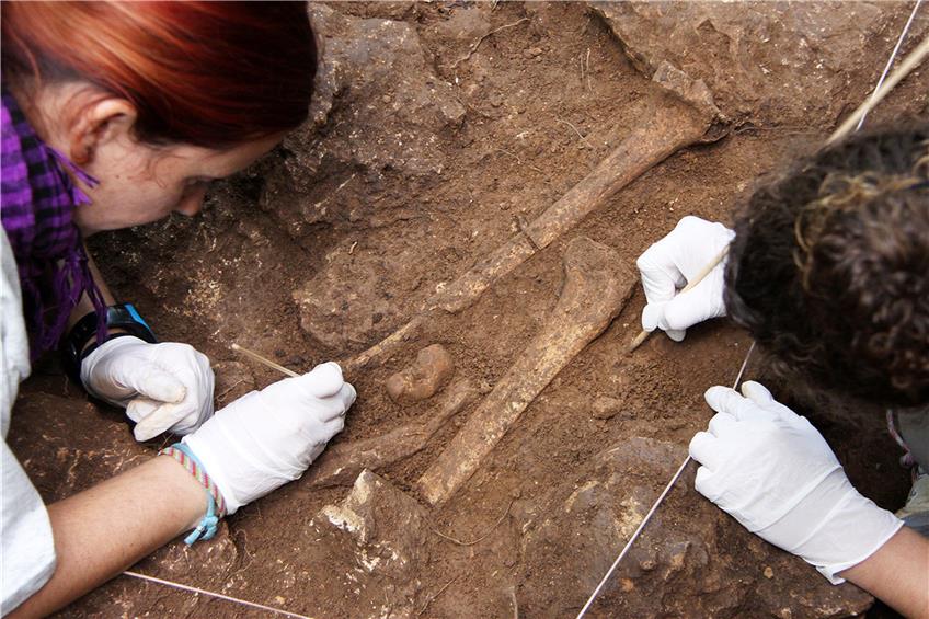 Bei der Ausgrabung in Serinyà wurden im Jahr 2014 menschliche Fossilien entdeckt.Bild: Joaquim Soler