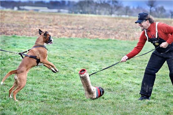 Beutespiele gehören zum Schutzhundetraining – Vereinsvorstand Oliver Menzel lockt hier mit dem Jute-Beißarm. Bilder: Anne Faden