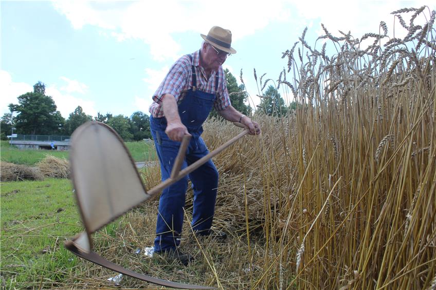 Vom Korn zum Brot: In Nehren zeigten ehemalige Landwirte, wie sie früher ernteten