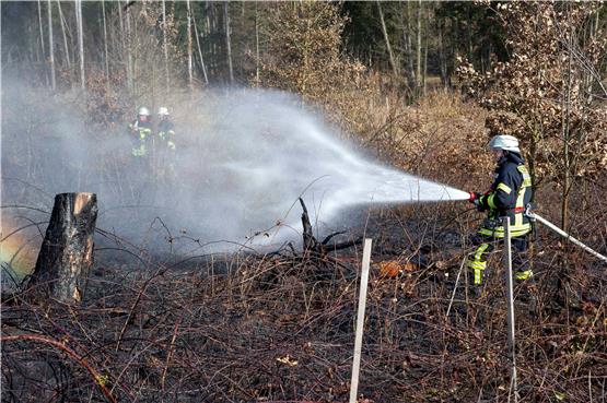 Live-Blog: Regeln im Wald: Landratsamt warnt vor Brandgefahr