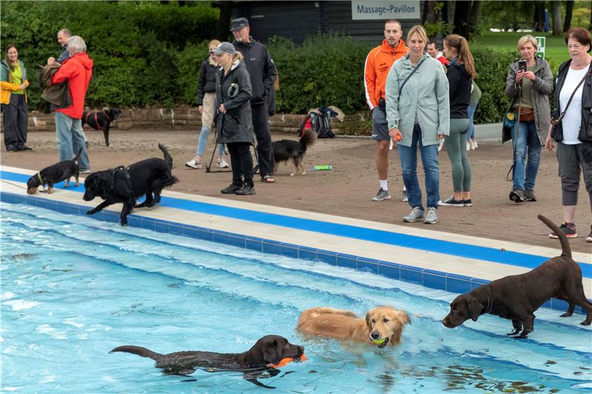 Freibad beendet Saison mit besonderem Ausbaden: Nasse Beine, glückliche Hunde