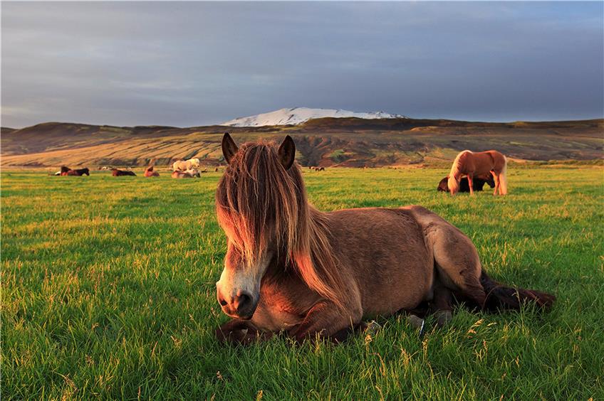 Bild: Iurie Belegurschi / Guide to Iceland