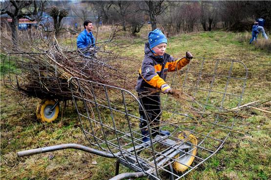 Biotop-Pflege bei der Mössinger Ziegelhütte: Der siebenjährige Benjamin (vorne) sammelte am Samstag Schnittholz ein: „Solche Schmutzarbeit mache ich, ehrlich gesagt, gern.“ Bild: Uli Rippmann