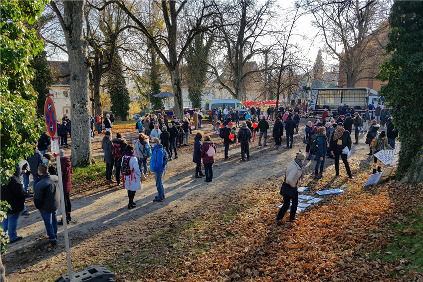 Bis zu 800 Leute protestierten in Rottenburg am Samstag gegen die Corona-Maßnahmen, knapp 200 Gegendemonstranten protestierten wiederum gegen das „Friedensfest“. Bild: Philipp Koebnik