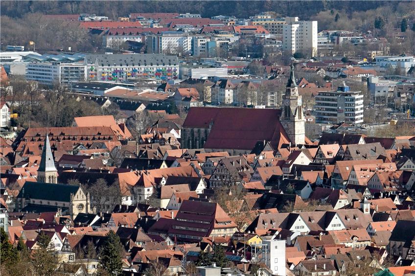 Blick auf Tübingen.  Bild: Metz