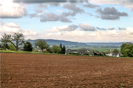 Blick vom Oberen Feld in Richtung Schelmen und ins Neckartal. Archivbild: Fleischer