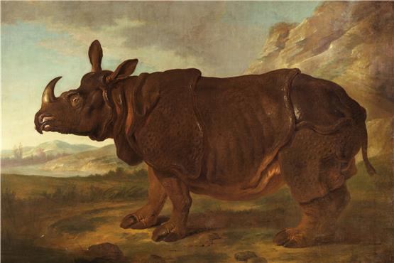 Clara, das Rhinozeros, 1749 in Originalgröße verewigt von dem französischen Hofmaler Jean-Baptiste Oudry.