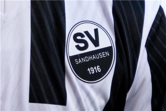 Das Logo des SV Sandhausen ist auf dem Trikot eines Spielers zu sehen. Foto: Robert Michael/dpa/Symbolbild