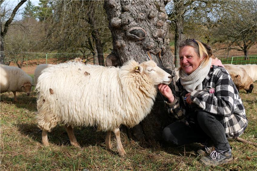 Das Schaf Mähli ist zwei Jahre alt. Sonja Saile und ihr Mann Armin haben das Tier mit der Flasche aufgezogen. Bild: Angelika Bachmann