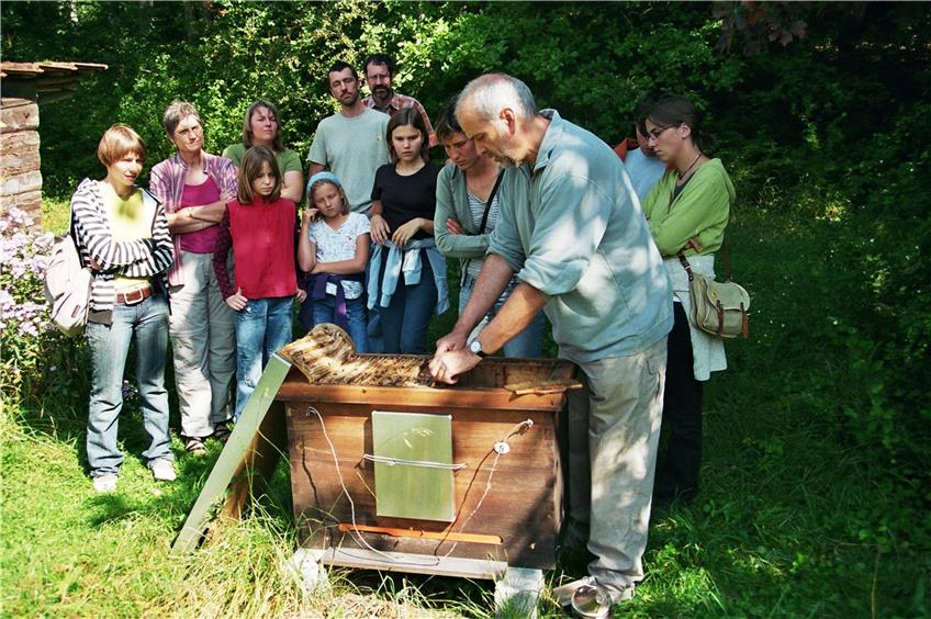 Das Siegerprojekt führt ins Leben der Bienen ein. Bild: Mellifera