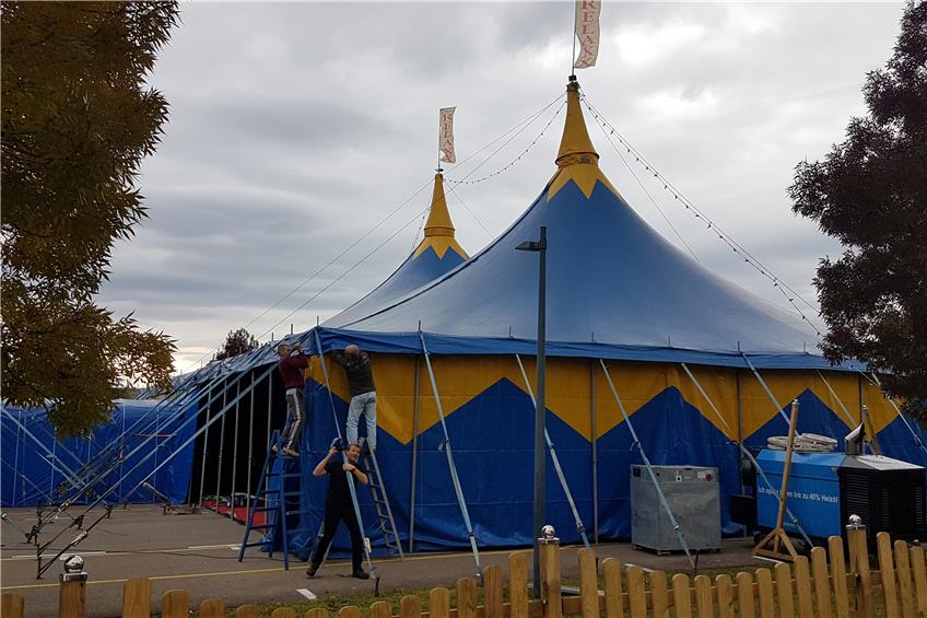 Das Zelt für den Gomaringer Herbstzirkus ist schon fast aufgebaut. Im schwarzen T-Shirt legt auch Zirkusbesitzer Michael Sperlich noch Hand an. Bild: Damaris Riesner