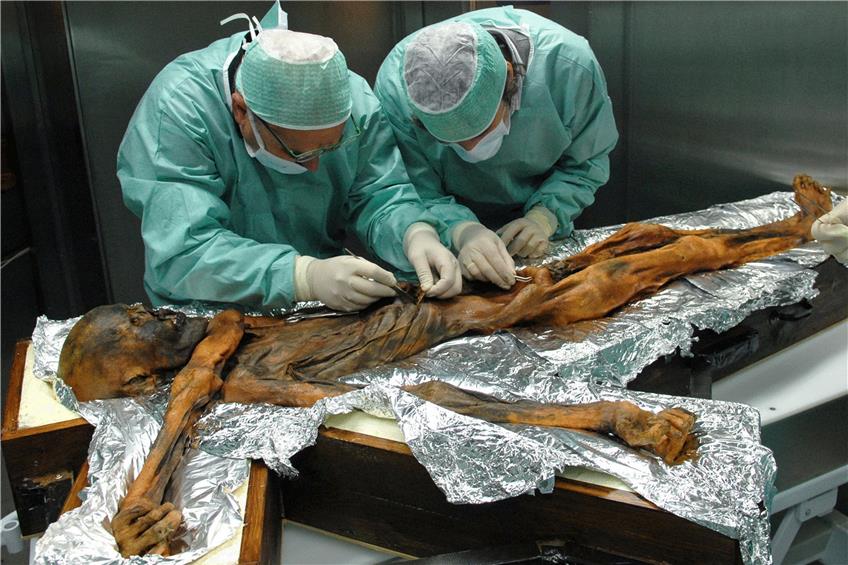 Der 5300 Jahre alte Ötzi lässt noch immer die Herzen vieler Wissenschaftler höher schlagen. Foto: Archaeologymuseum\Eurac via Eurekalert/dpa/M.Samadelli