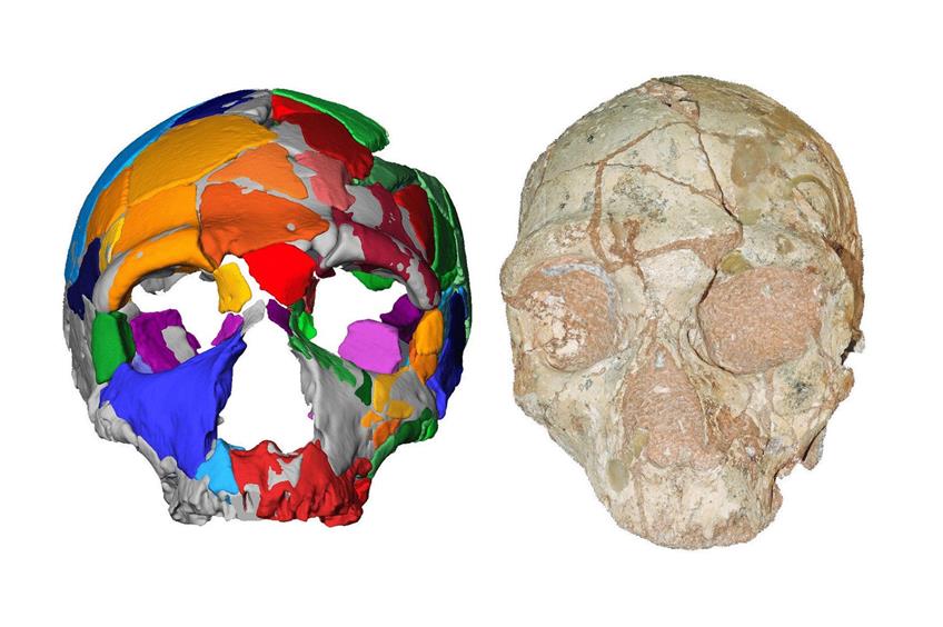 Der Apidima-2-Schädel (r.) und seine Rekonstruktion. Apidima 2 zeigt Merkmale, die Neandertaler auszeichnen. Foto: Katerina Harvati/Uni Tübingen/dpa