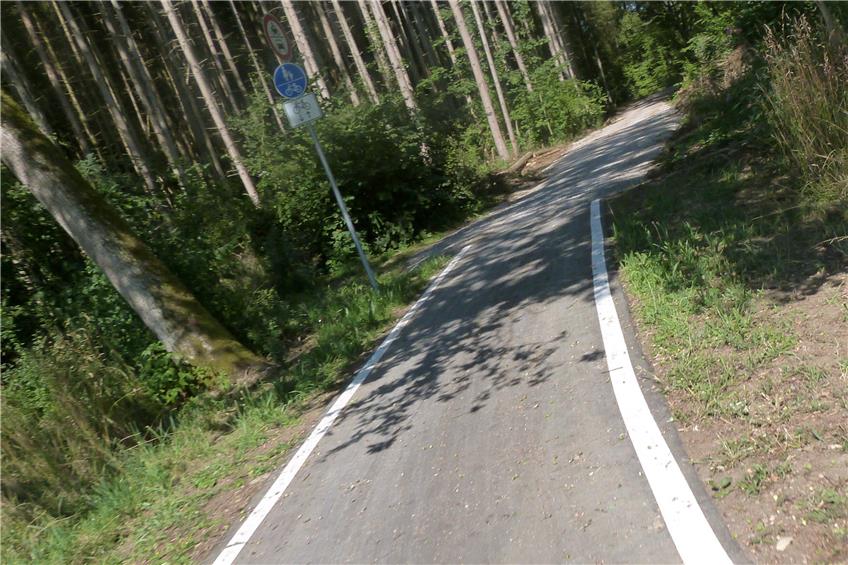 Der Radweg zwischen Ofterdingen und Dettingen: Eigentlich müssen Radfahrer ihn benutzen, denn er gibt ein Schild, auf dem ein weißes Fahrrad auf blauem Grund zu sehen ist. Bild: Ulrich  Eisele