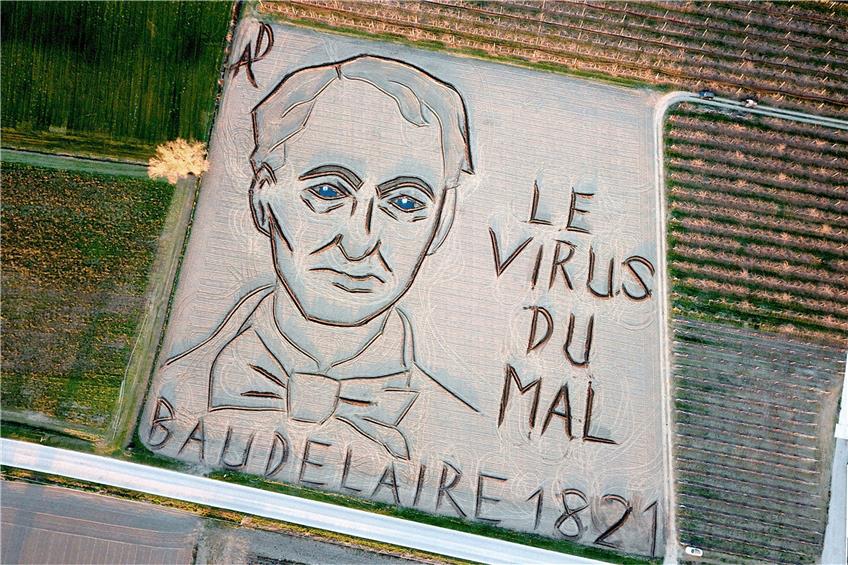 Der italienische Land-Art-Künstler Dario Gambarin hat im Jahr des 200. Geburtstags von Charles Baudelaire ein riesiges Abbild des Dichters mit den Worten „Le virus du mal“ (Das Virus des Bösen) in einen Acker gefräst.  Foto: --/Dario Gambarin/dpa