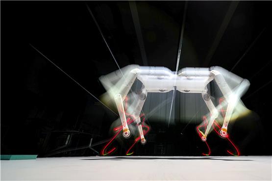 Der vierbeinige Roboter Solo 8 springt aus einer Höhe von 24 Zentimetern auf 65 Zentimeter hoch. Bild: MPI für Intelligente Systeme / W. Scheible