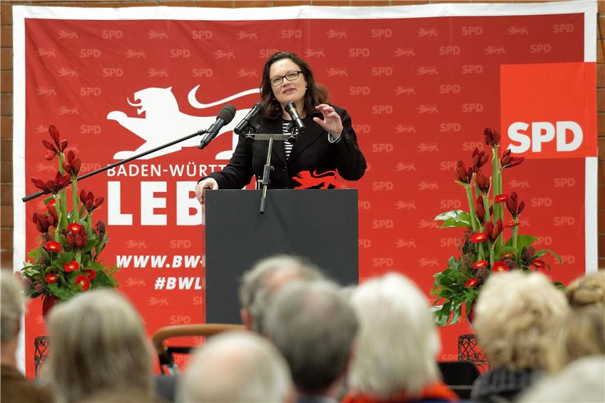 Die Bundesministerin für Arbeit und Soziales Andrea Nahles lobte sich und ihre Partei für das erfolgreiche Ringen um den Mindestlohn.Bild: Metz