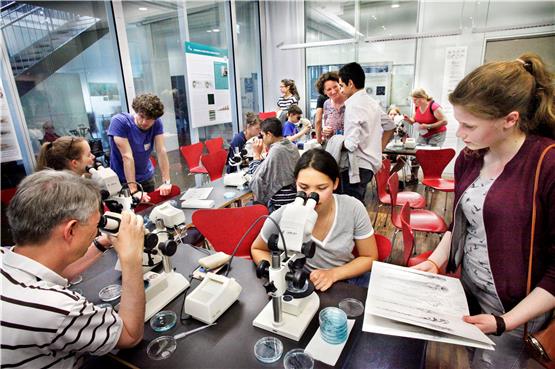 Die Entwicklung von Zebrafischen beobachteten Besucher am Samstag im Max-Planck-Institut unterm Mikroskop.Bilder: Faden