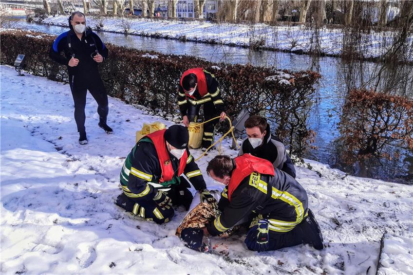 Die Feuerwehr rettete das Reh aus dem kalten Neckar. Bild: FW Tübingen