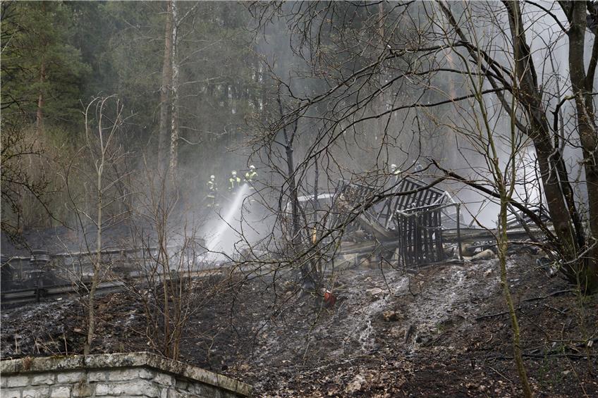 Die Flammen griffen auf den Wald über. Bild: Joachim Lenk