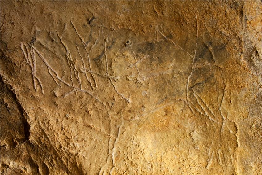 Die Gravierung eines hirschartigen Tieres (Bild) wurde in der Höhle Agneux II gefunden und nachgezeichnet. Bild: Christian Hoyer, AG Floss, UT
