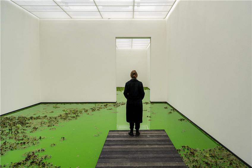 Die Installation „Life“ von Ólafur Elíasson in der Fondation Beyeler in Riehen. Foto: Georgios Kefalas/KEYSTONE/dpa