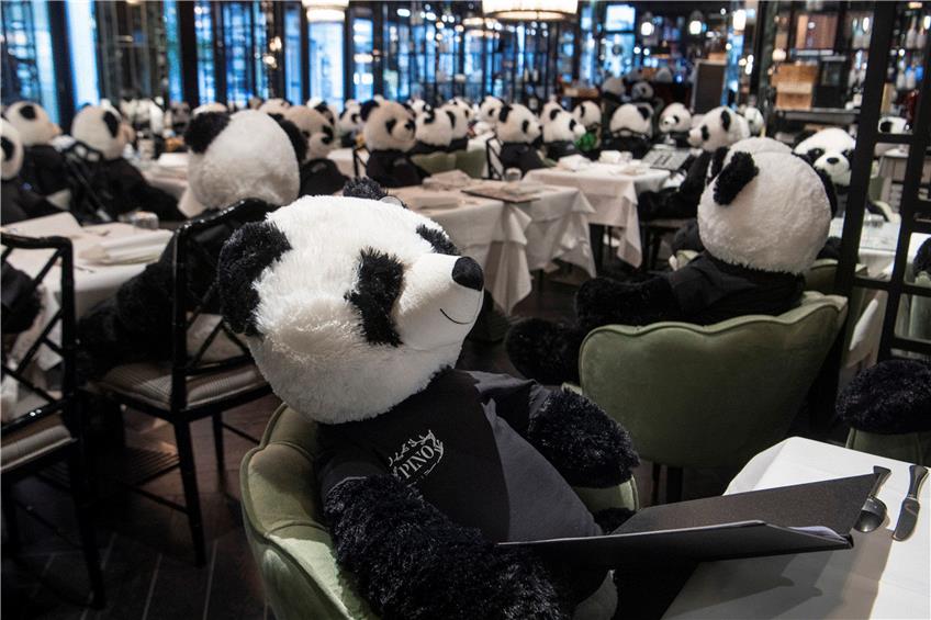 Die Pandas bleiben noch: Da dieses Restaurant in Frankfurt/Main nun auch im Dezember nicht öffnen darf, geht auch die Installation namens „Panda-Mie“ in die Verlängerung.   Foto: Boris Roessler/dpa